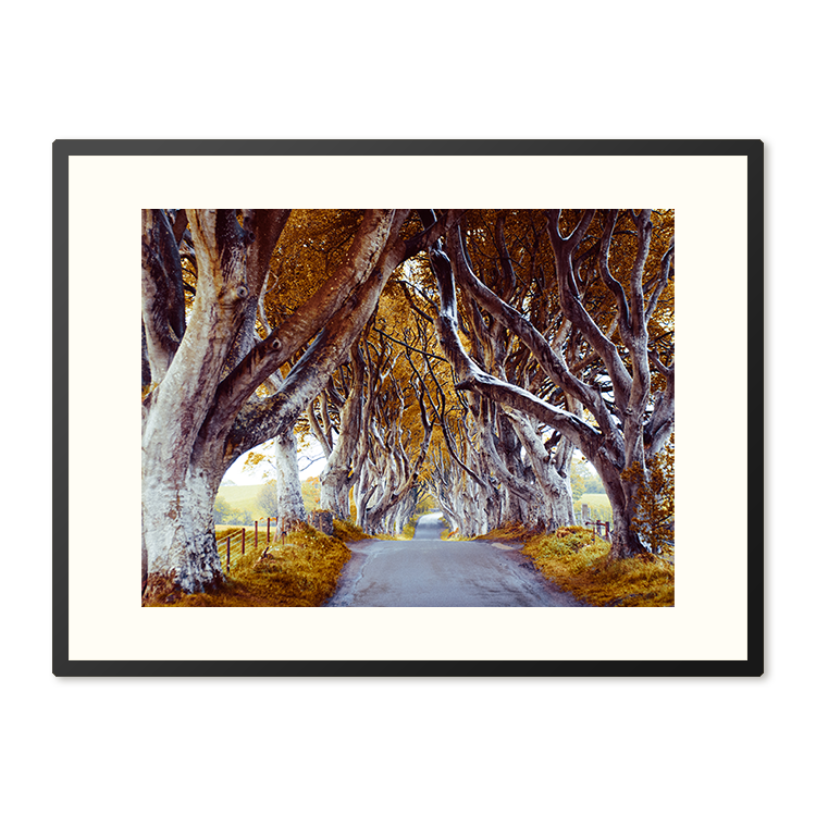 Poster in Lijst The Dark Hedges