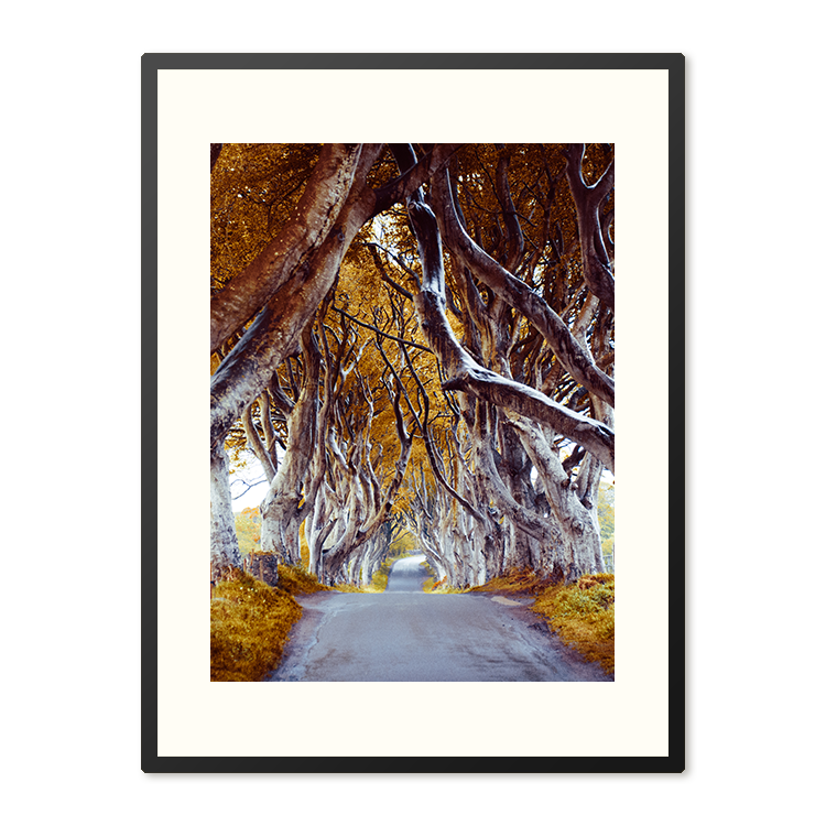 Poster in Lijst The Dark Hedges