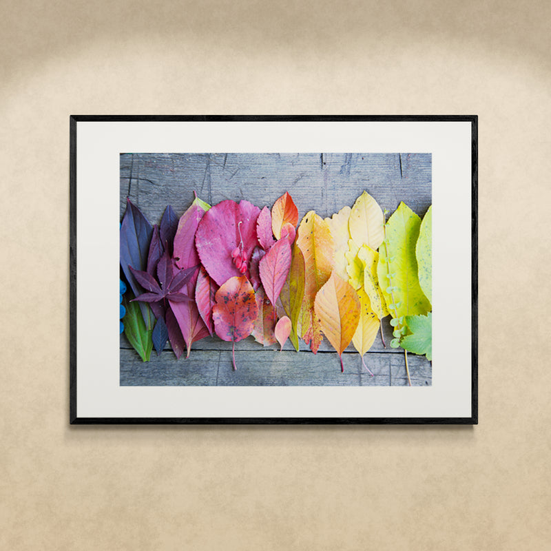 Poster in Lijst Vurige Herfst: Bladeren & Bessen in Regenboogkleuren