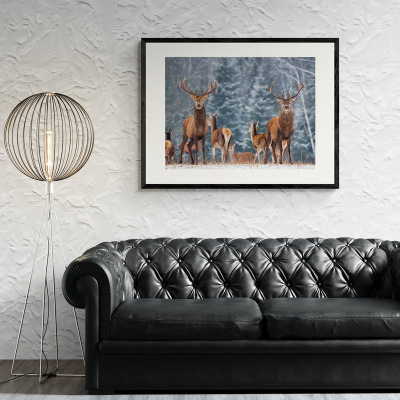 Poster in Lijst Winterlandschap met Edelherten