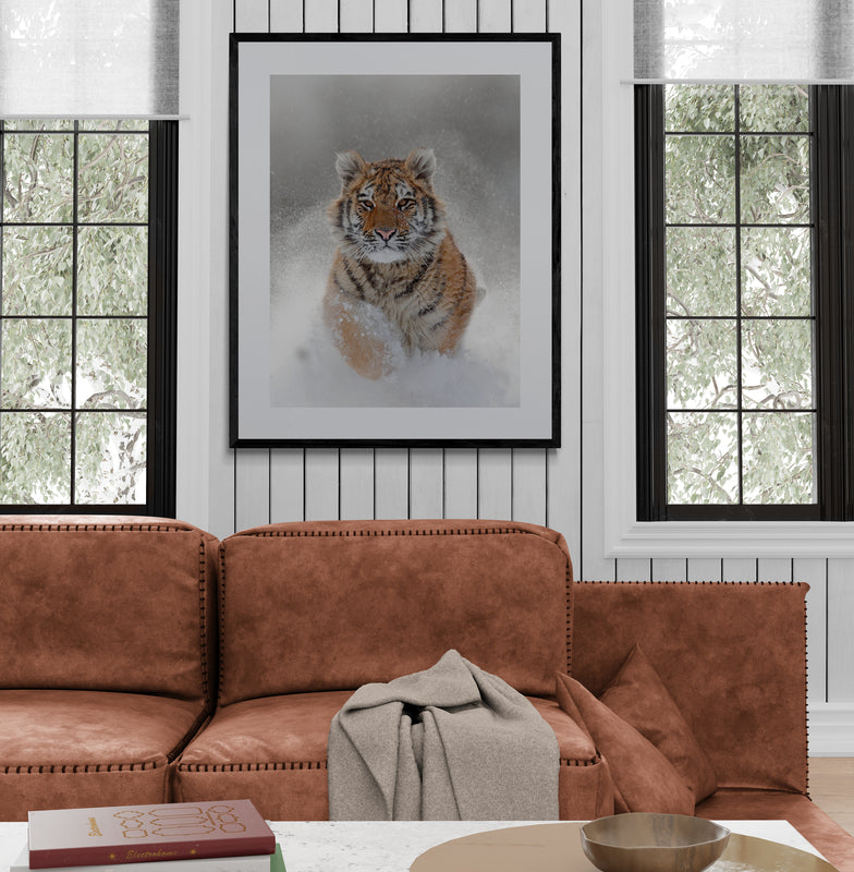 Poster in lijst Winterse Tijger