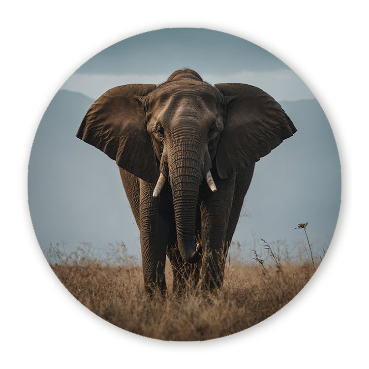 Schilderij Elephant Nature