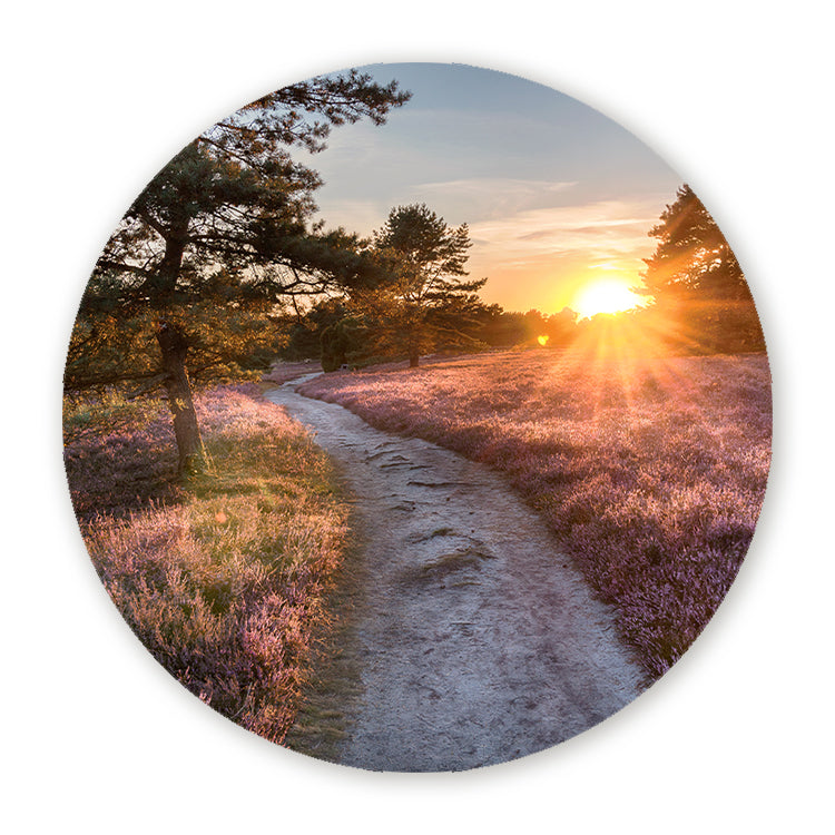 Schilderij Lüneburger Heide