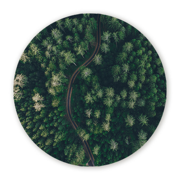 Schilderij Weg Door Het Bos Vanuit De Lucht
