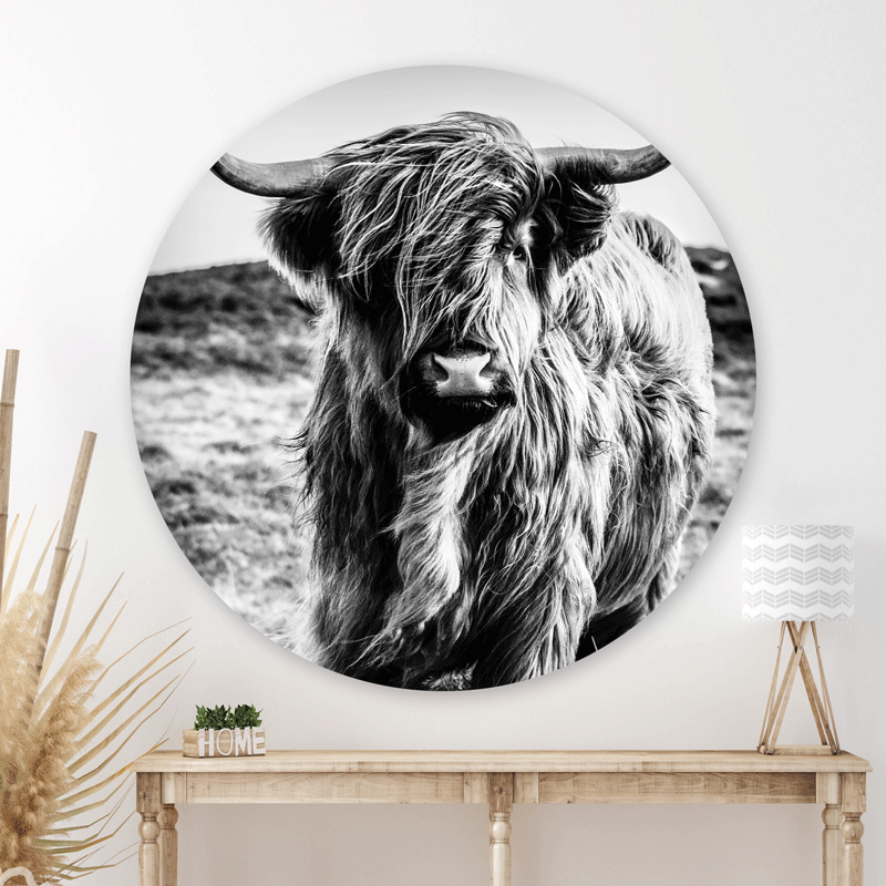 Schilderij Wild Highland Beauty - Zwart Wit