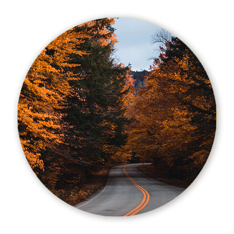 Schilderij Wanderlust Herfstweg