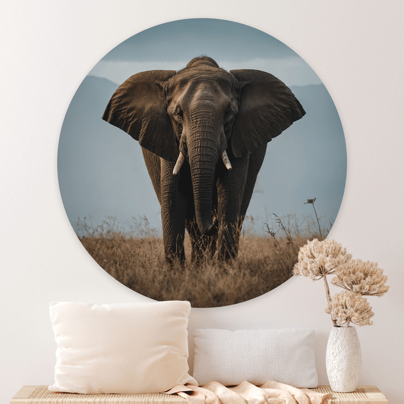 Schilderij Elephant Nature
