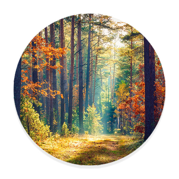 Schilderij Ochtend in Herfstbos