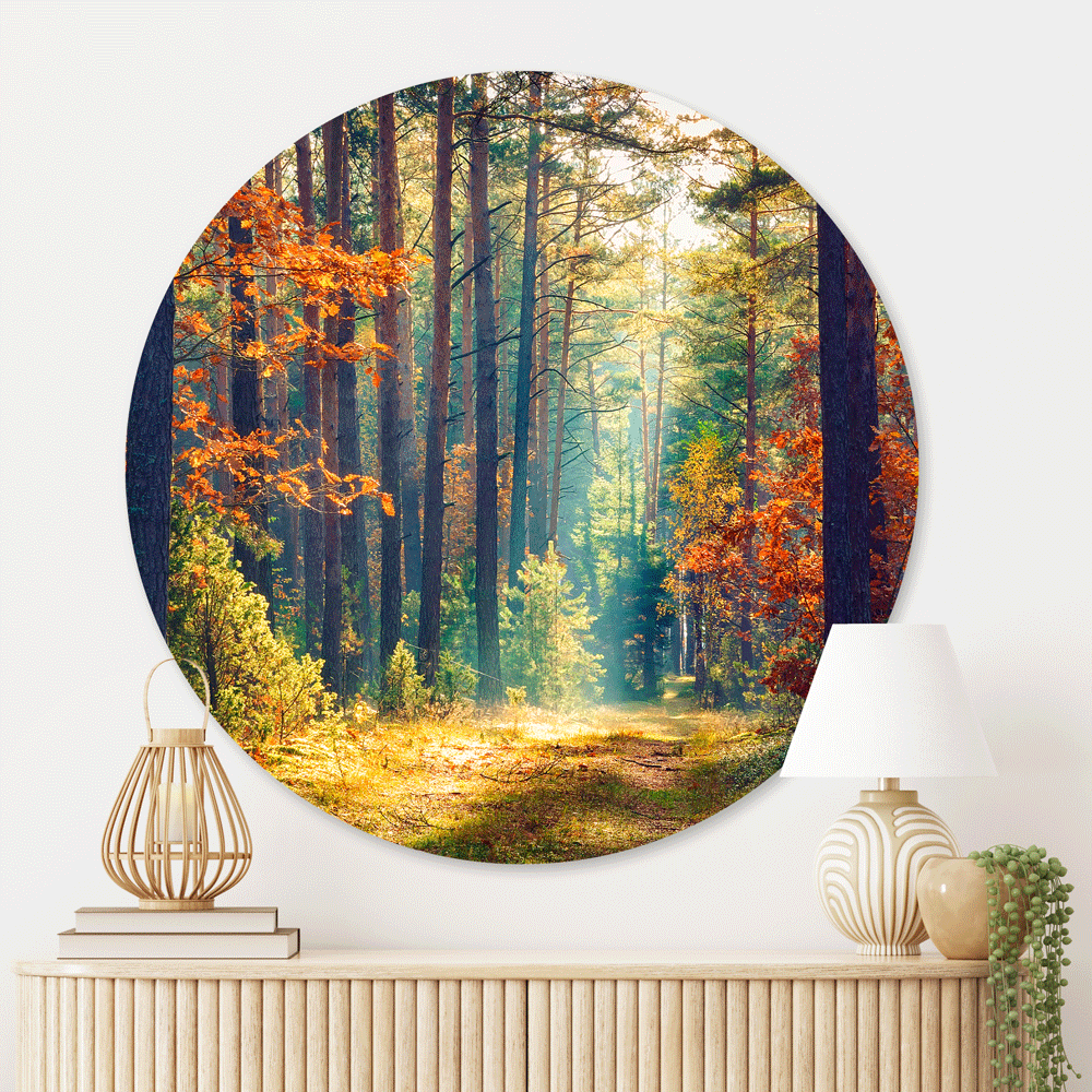 Schilderij Ochtend in Herfstbos