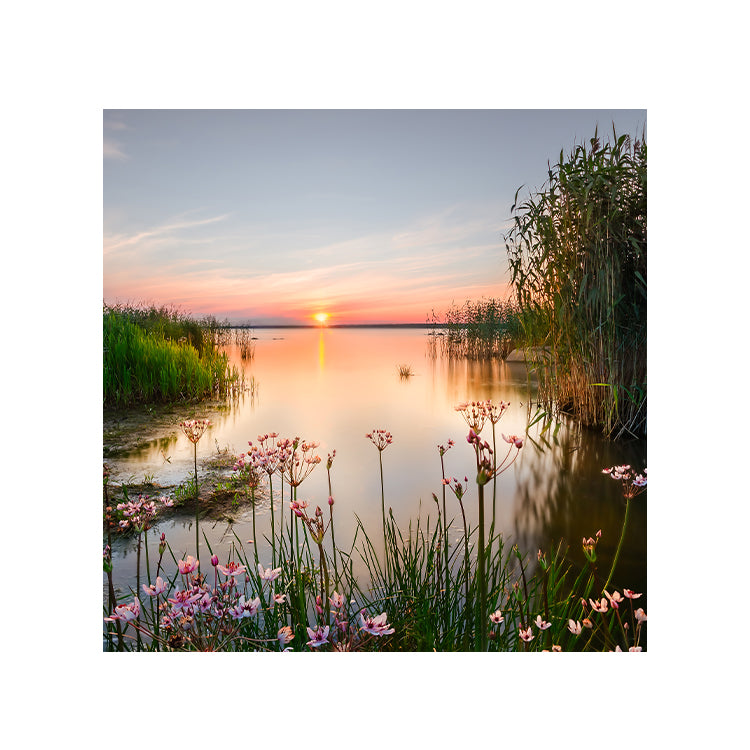 Schilderij Avondlicht aan het Meer