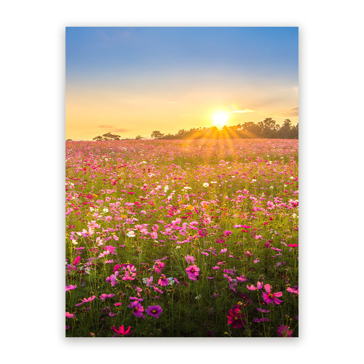 Schilderij Betoverende Bloemenveld bij Zonsondergang