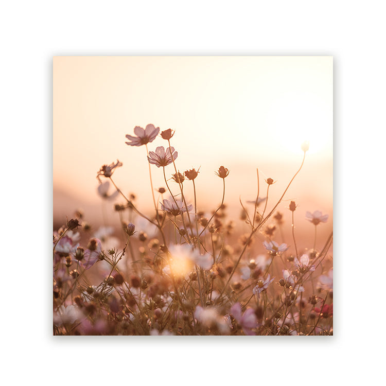 Schilderij Delicate Veldbloemen