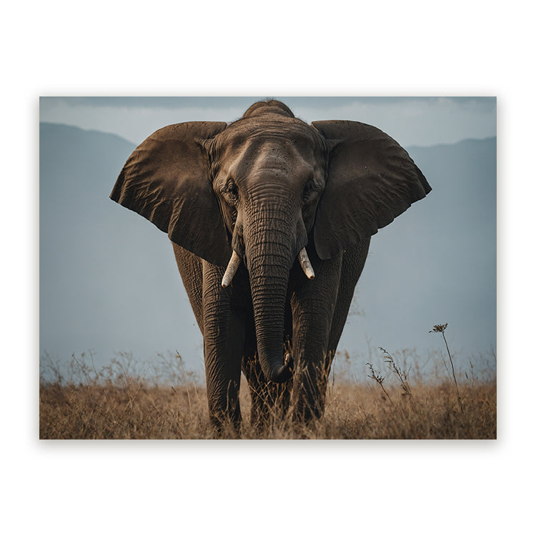 Schilderij Elephant Nature