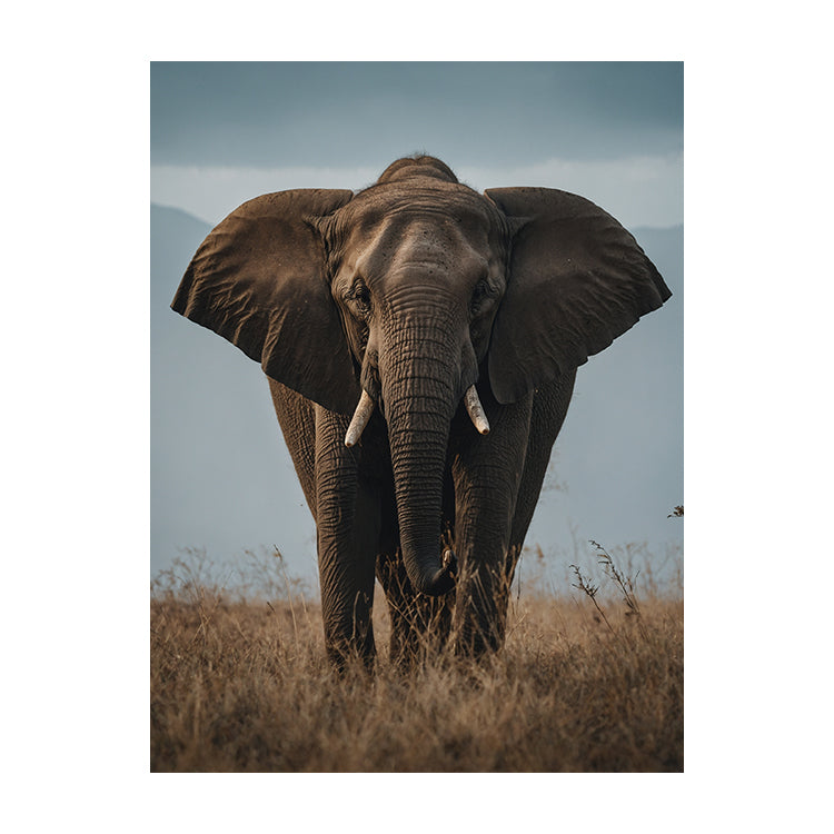 Schilderij Elephant Nature
