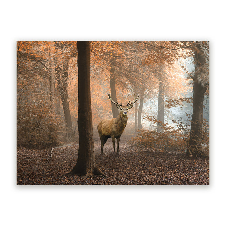 Schilderij Hert in Herfstbos