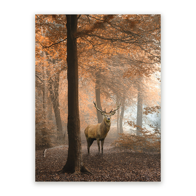 Schilderij Hert in Herfstbos