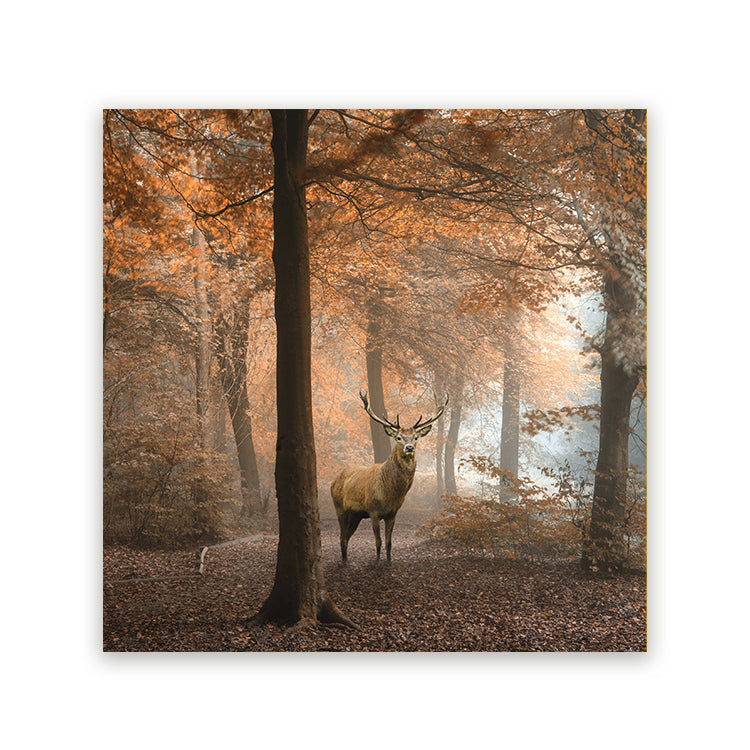 Schilderij Hert in Herfstbos