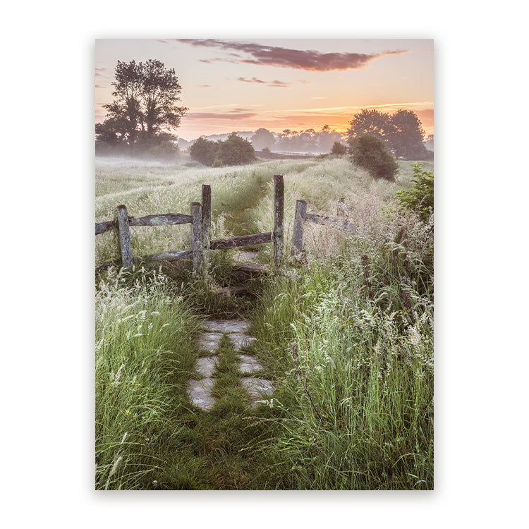 Schilderij Het Pad Naar Morgen