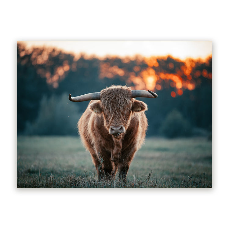 Schilderij Krachtig Grazend