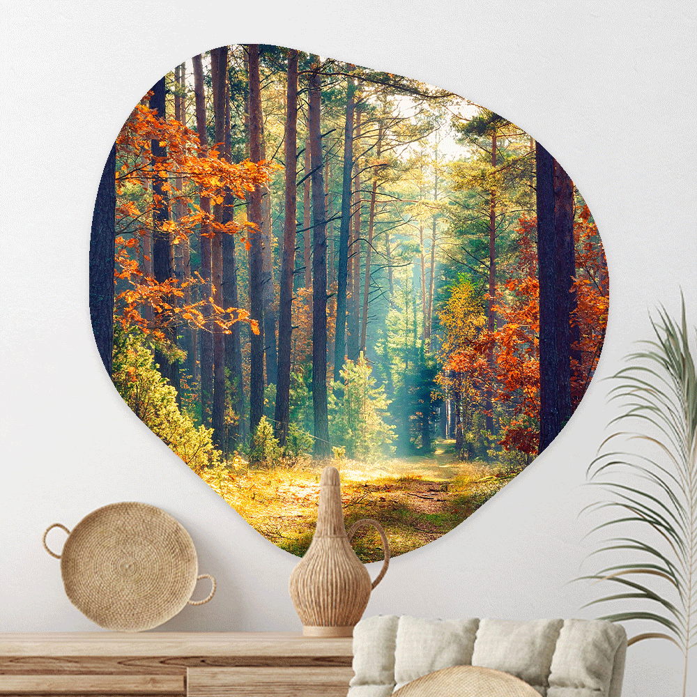 Wanddecoratie Organisch Herfstbos bij Ochtendgloren