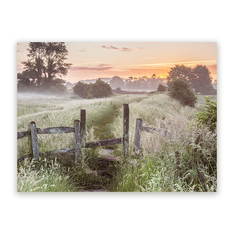 Schilderij Summer Sunset