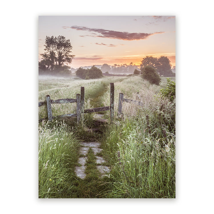 Schilderij Summer Sunset