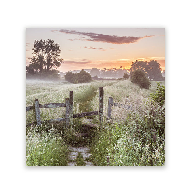 Schilderij Summer Sunset