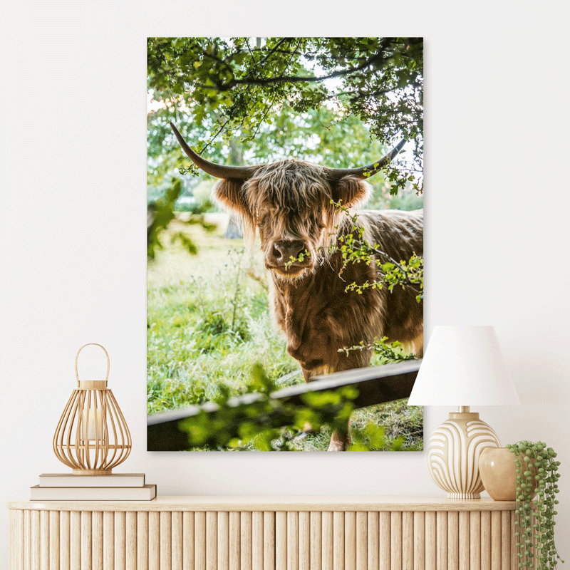 Schilderij Vredige Hooglander