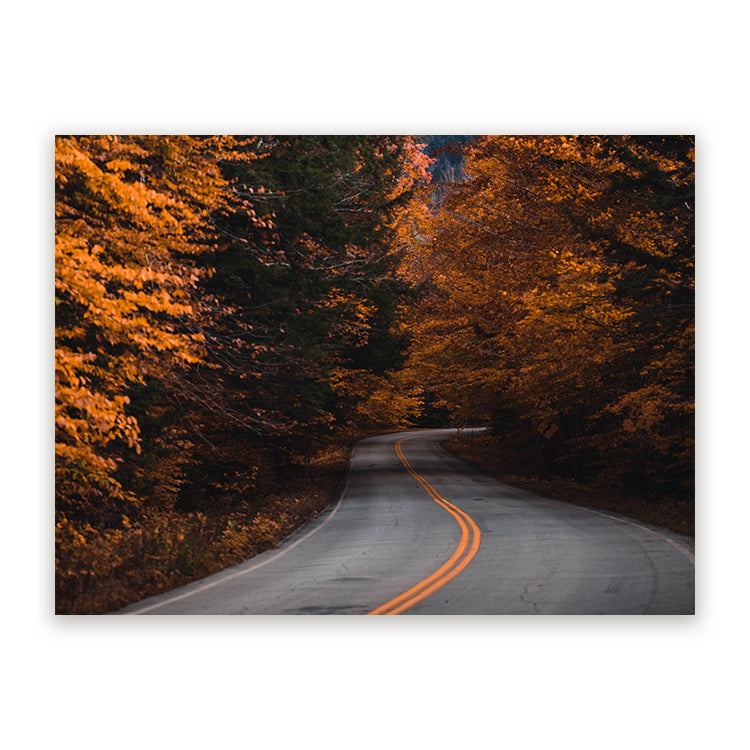 Schilderij Wanderlust Herfstweg