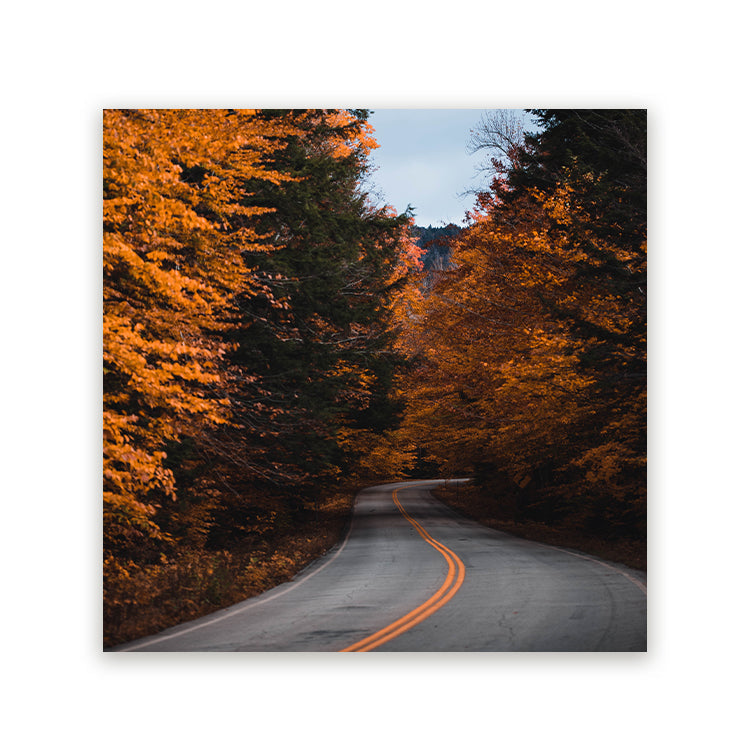 Schilderij Wanderlust Herfstweg