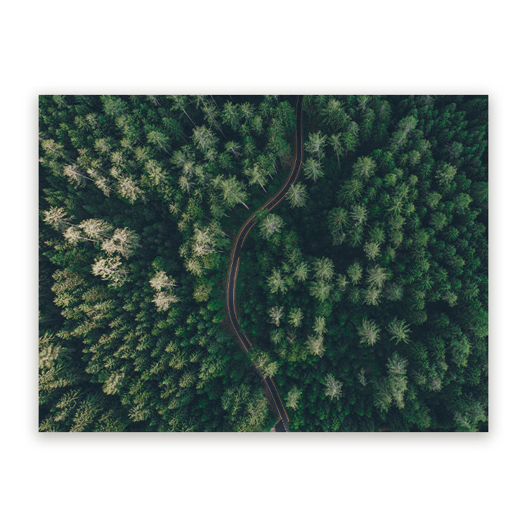 Schilderij Weg Door Het Bos Vanuit De Lucht