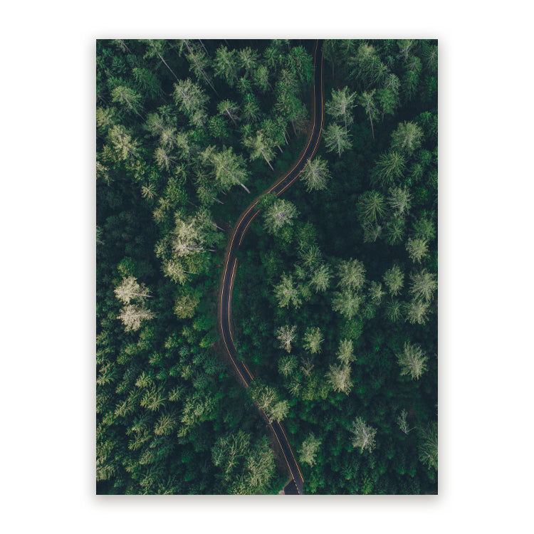 Schilderij Weg Door Het Bos Vanuit De Lucht