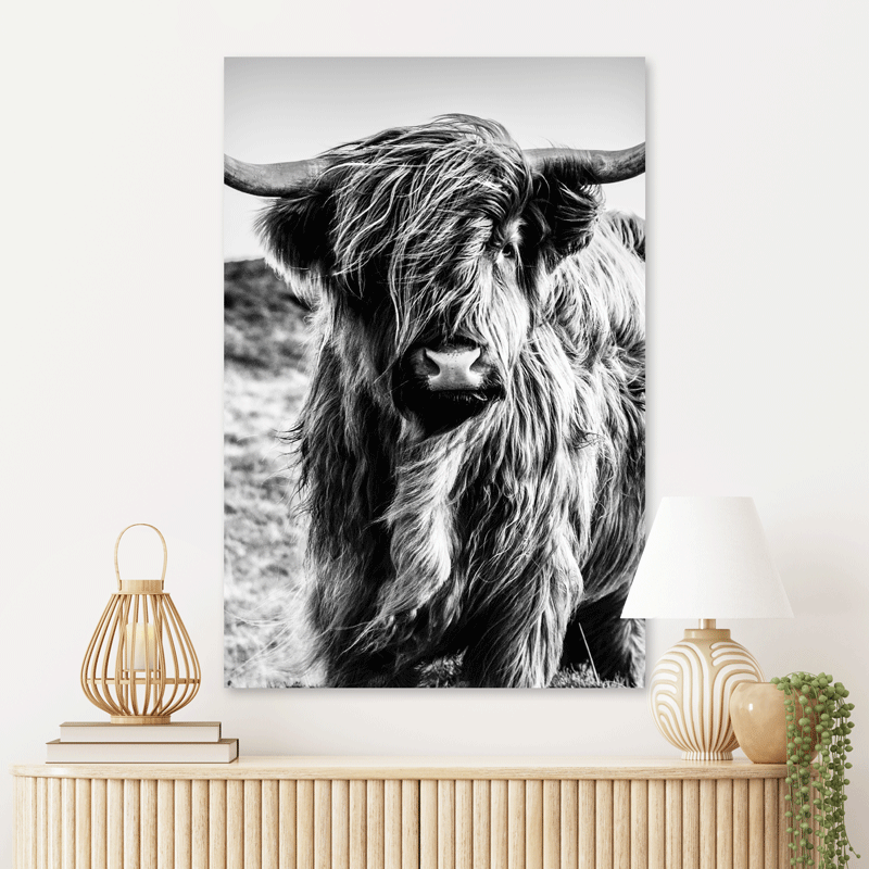 Schilderij Wild Highland Beauty - Zwart Wit