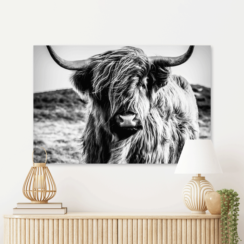 Schilderij Wild Highland Beauty - Zwart Wit
