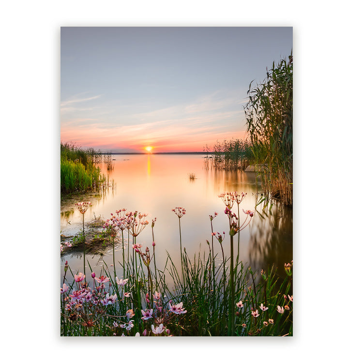 Schilderij Avondlicht aan het Meer