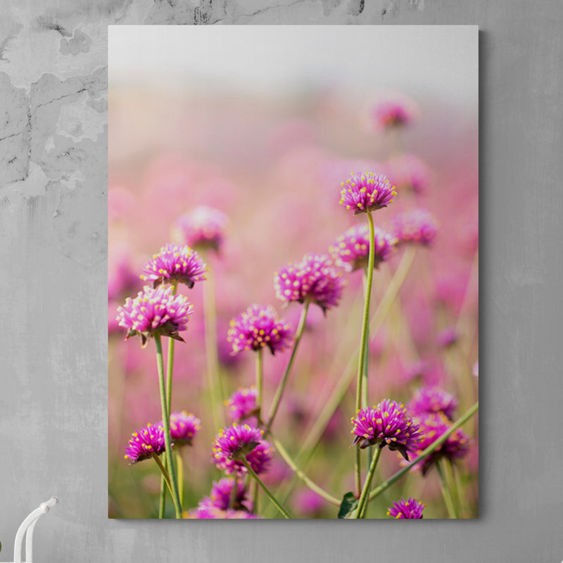 Schilderij Betoverend Paars Bloemenveld