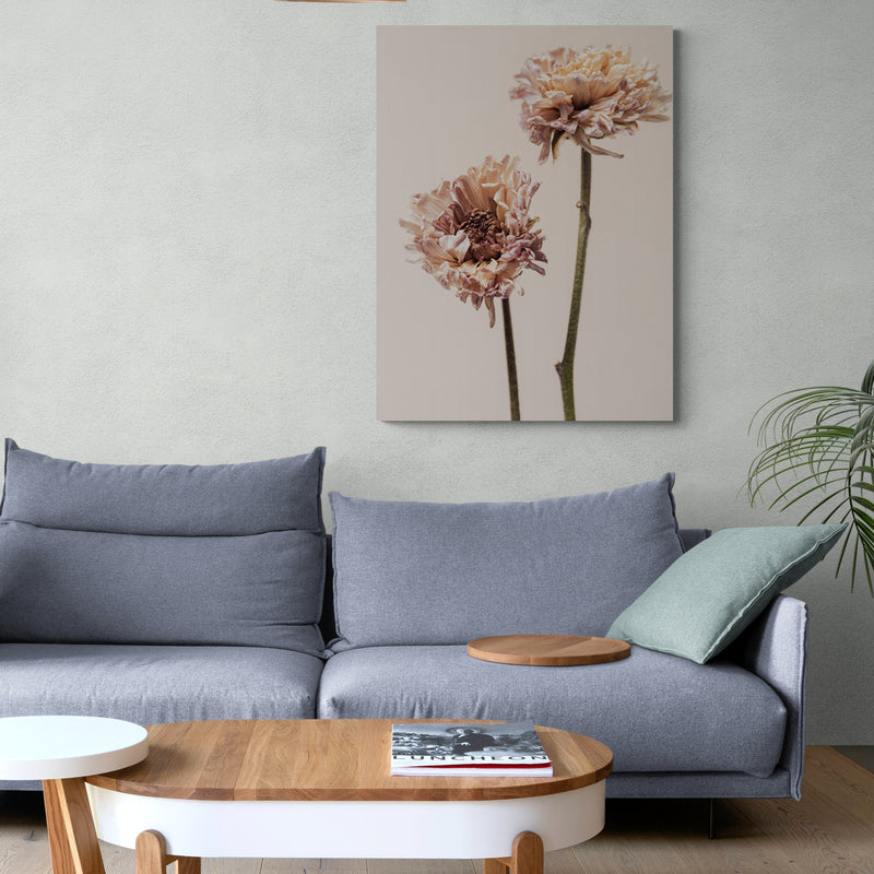 Schilderij Betoverende Chrysanten