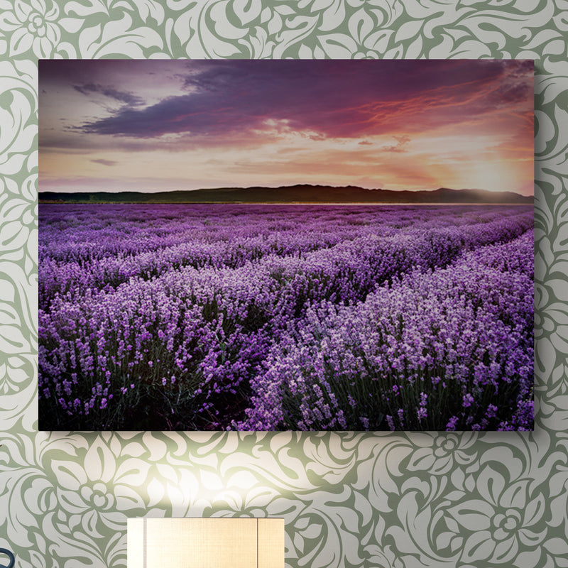 Schilderij Bloeiend Lavendelveld