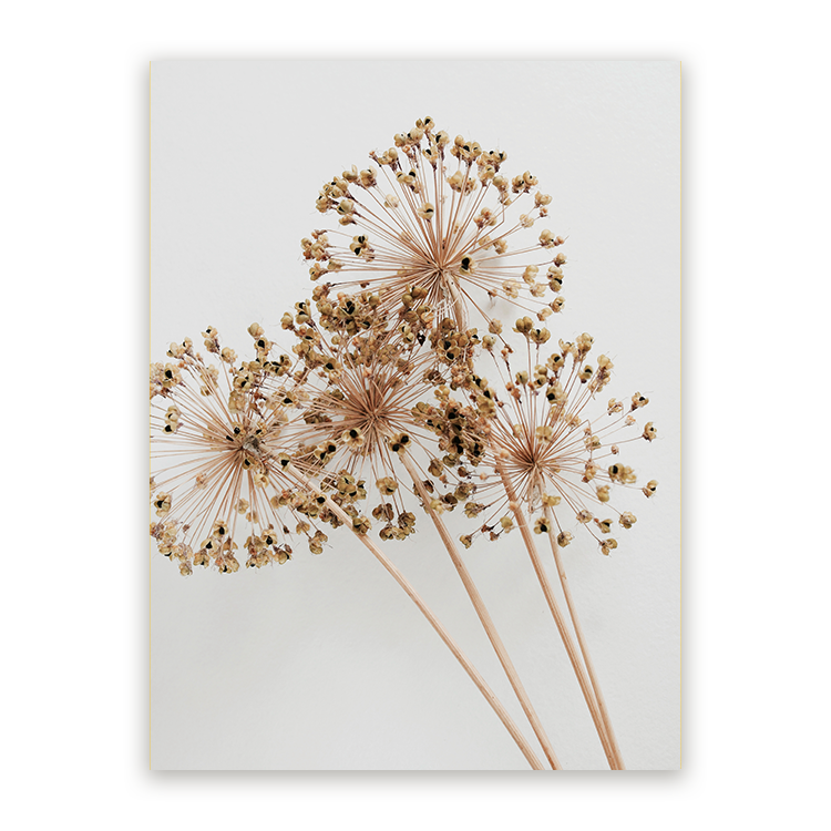 Schilderij Droogbloemen