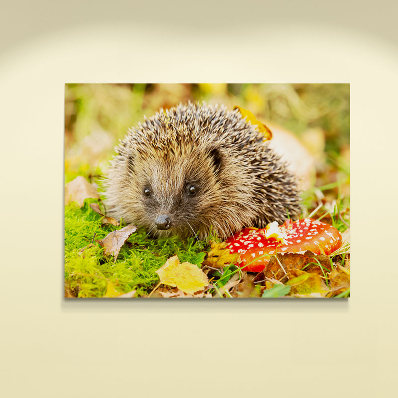 Schilderij Egel in Herfstlandschap