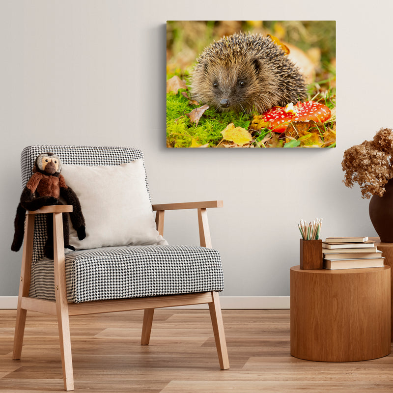 Schilderij Egel in Herfstlandschap