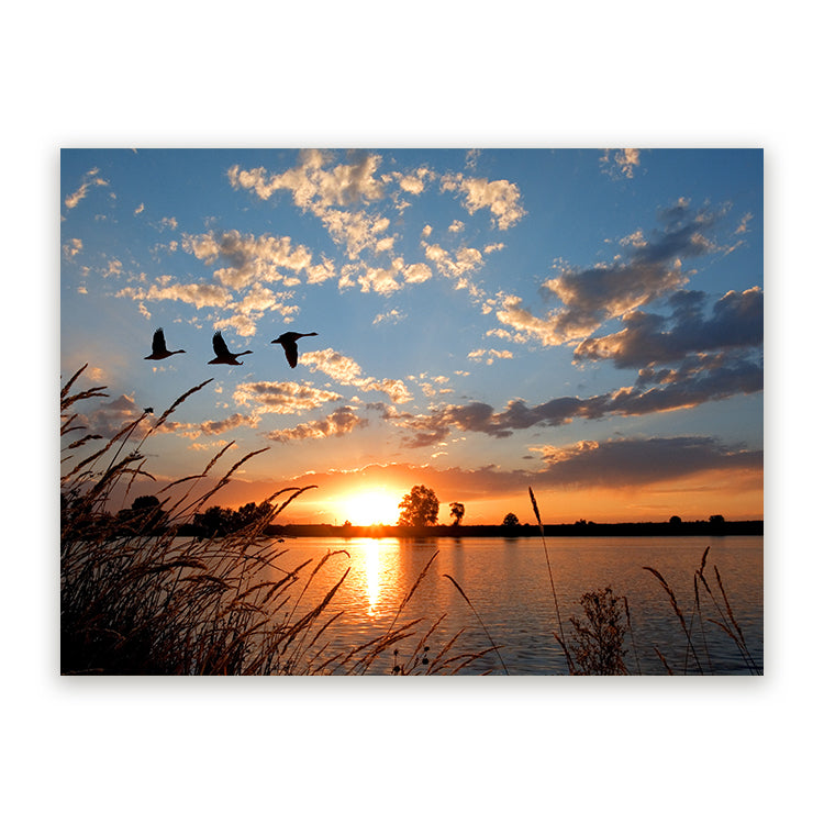 Schilderij Ganzen bij Zonsondergang