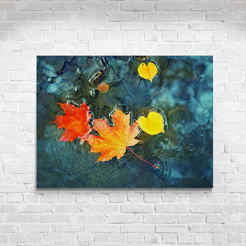 Schilderij Herfstbladeren in Donkerblauw Water