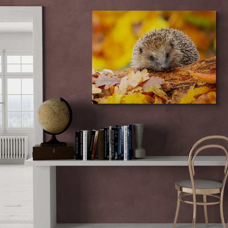 Schilderij Herfstsnuffel