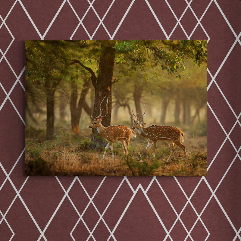Schilderij Herten in Herfstbos