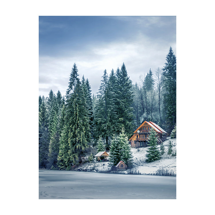 Schilderij Karpaten Winterwonder