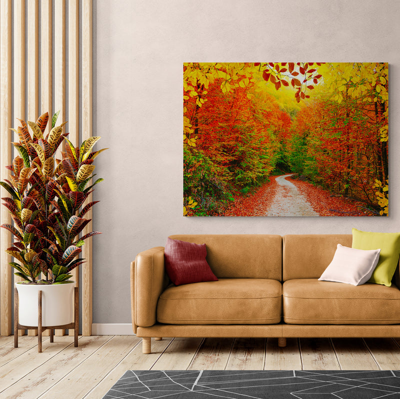 Schilderij Kleurrijke Herfstwandeling in het Bos
