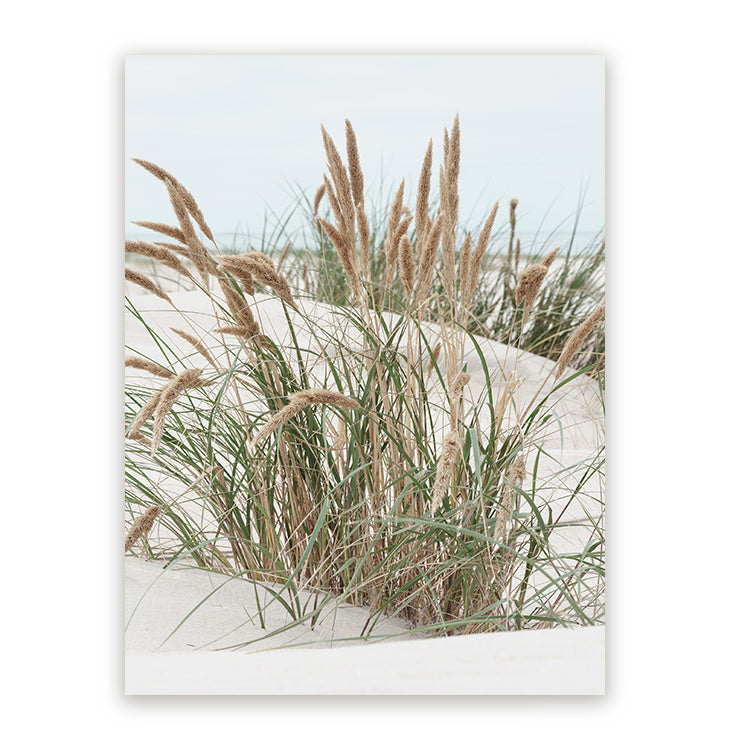 Schilderij Noordzee Duinen
