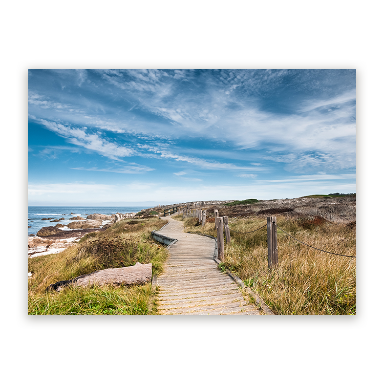 Schilderij Pacific Grove