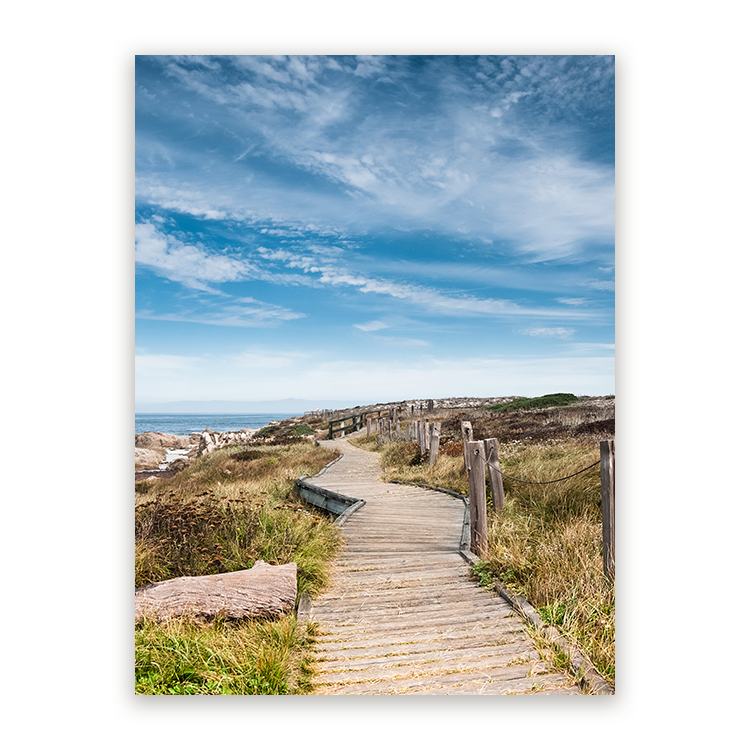 Schilderij Pacific Grove